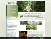 Tablet Screenshot of e-grzybica.eu